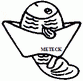Meteck Profast